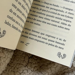 Detalhes internos de diagramação